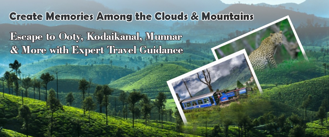 WhatsApp Image 2025-11-07 at 3.40.07 PM